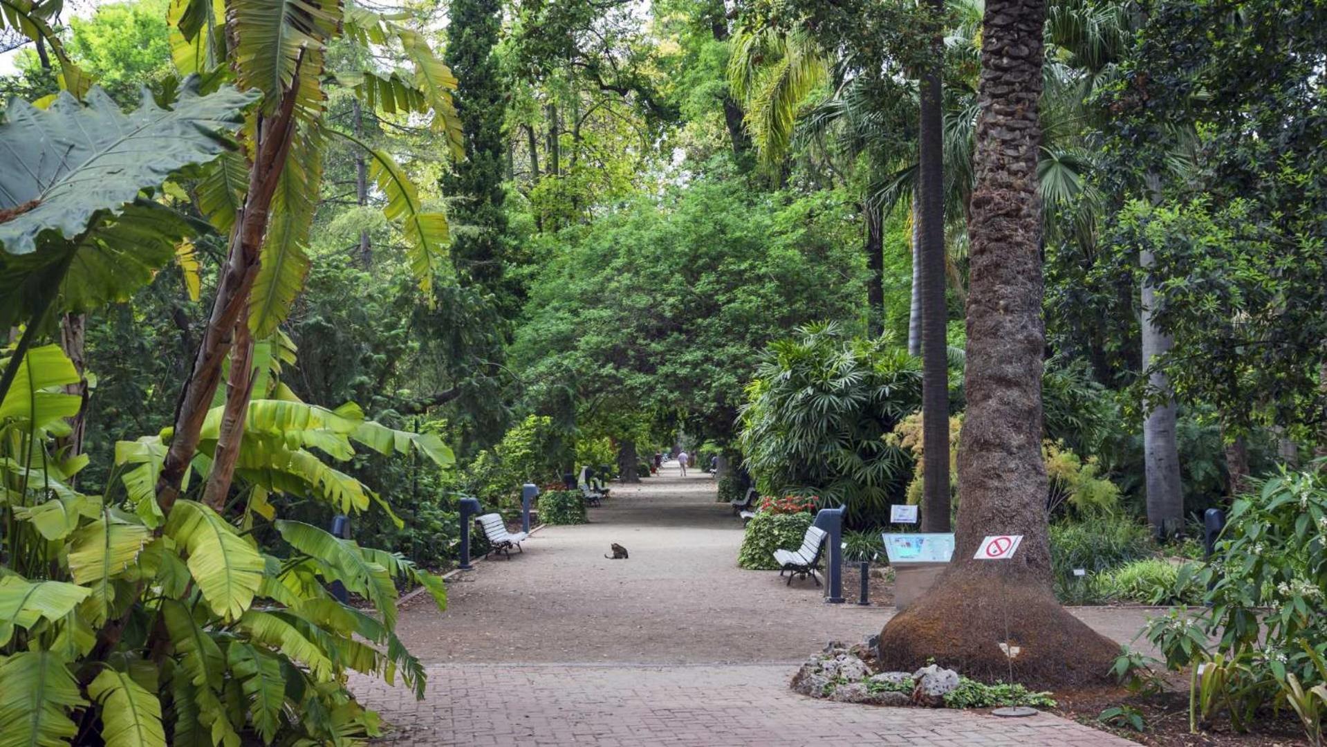 Luxotica Gardens Valencia Apartment Екстериор снимка